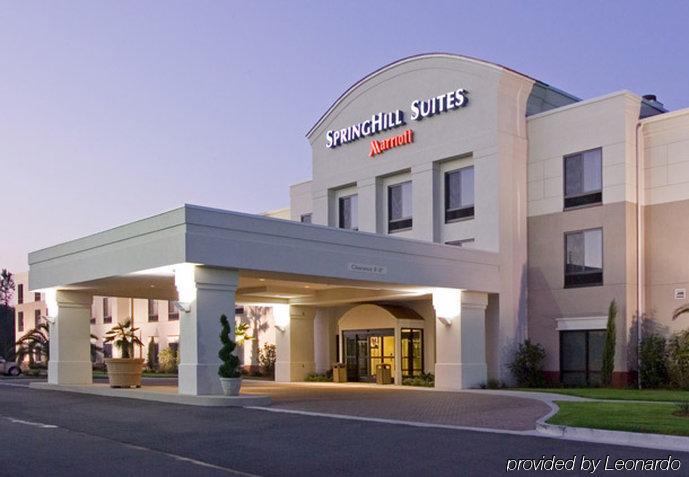 Springhill Suites By Marriott קורפוס כריסטי מראה חיצוני תמונה